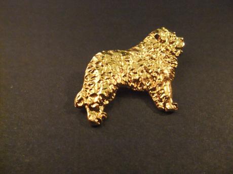 Newfoundlander ( sledehond voor zware lasten, waterhond)